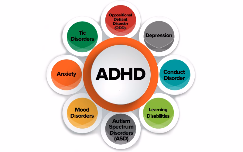 What is 'all things ADHD' by Chadd's NRC?