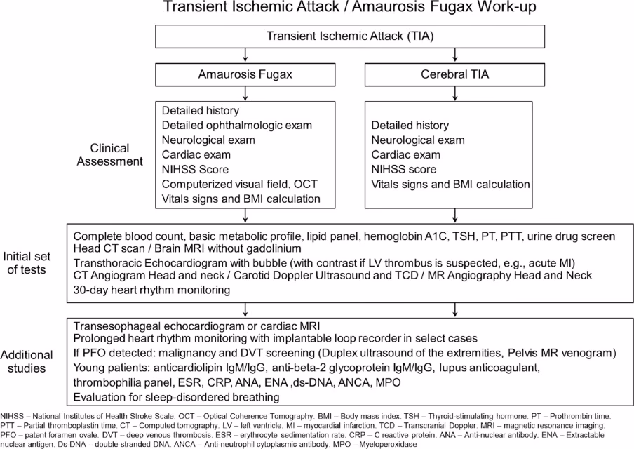 Can amaurosis fugax cause a stroke?