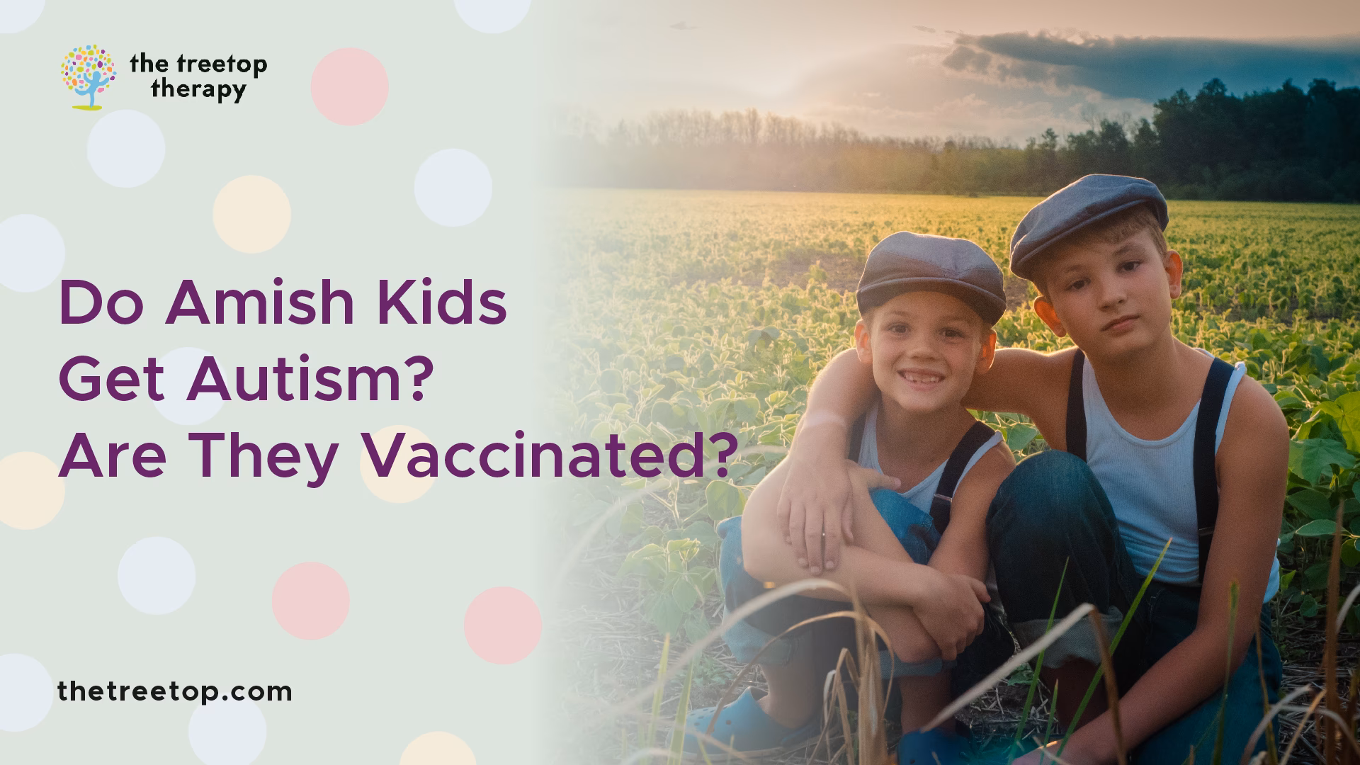 What is the prevalence of autism in Amish children?