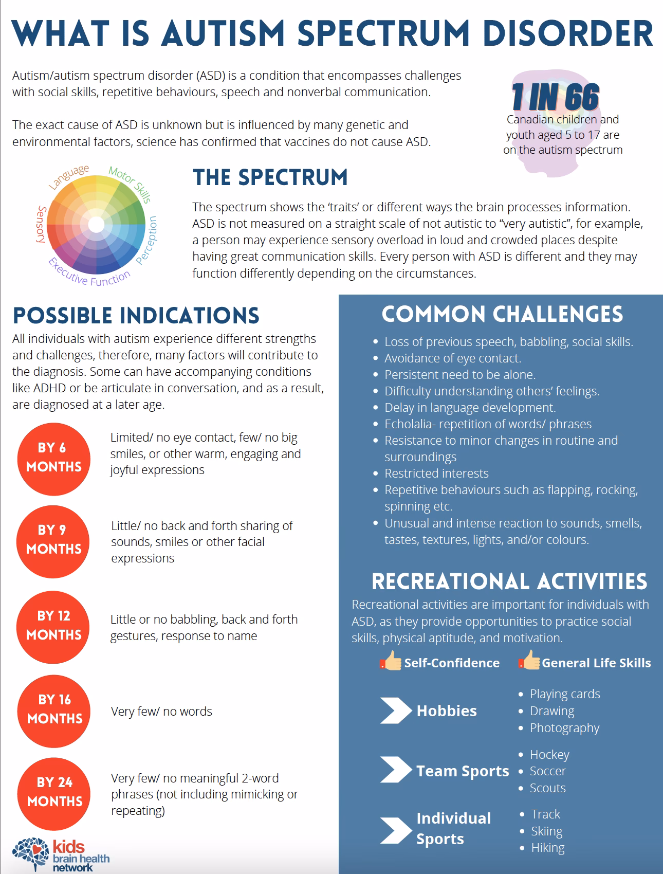 What is this information sheet about autism?