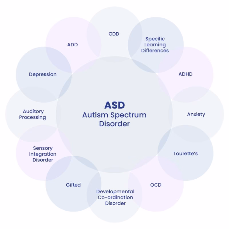 How are autism assessments carried out in the UK?