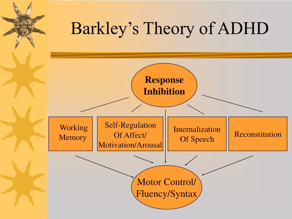 Is there a theory of ADHD?