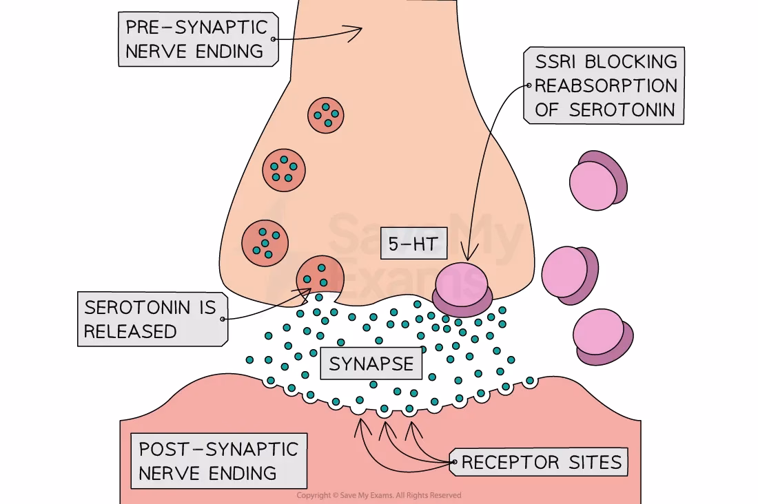 Is there a biological treatment for depression?