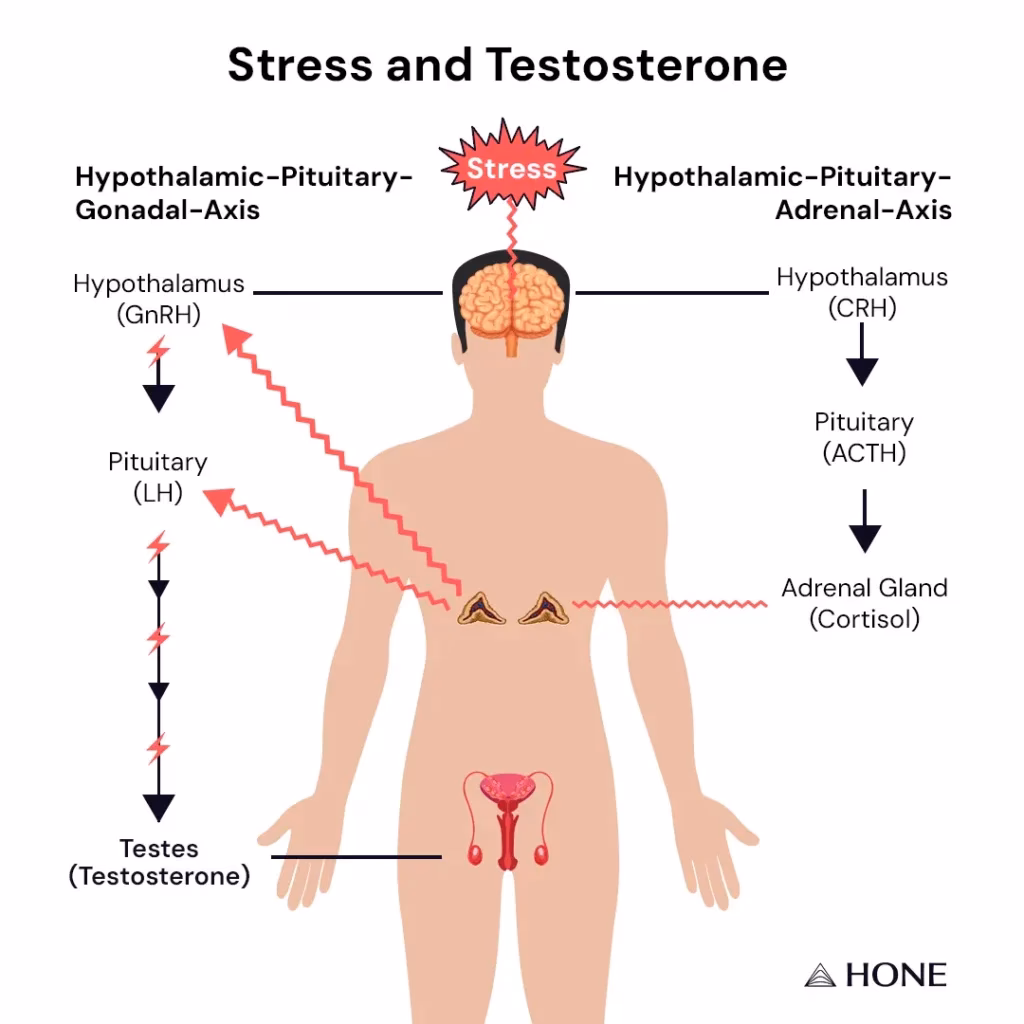How to reduce stress?