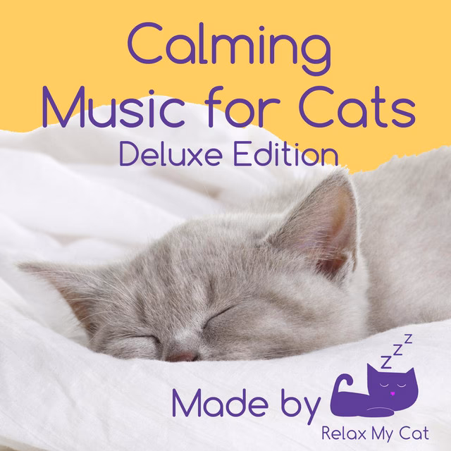 What are the best free Cat Music compilations?