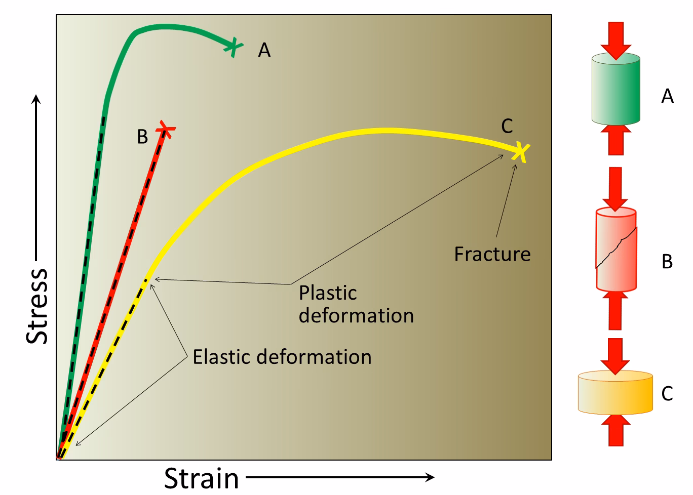 How does stress affect strain?