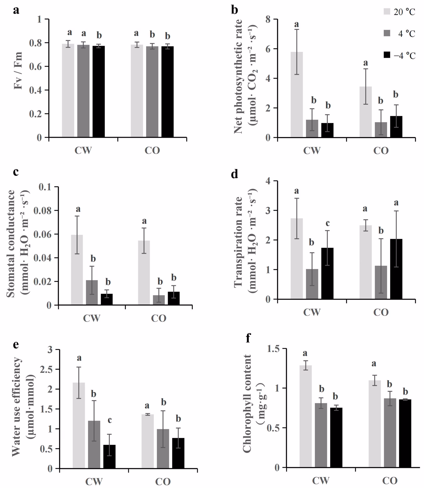 How do Lt and HRH stress affect chlorophyll biosynthesis?