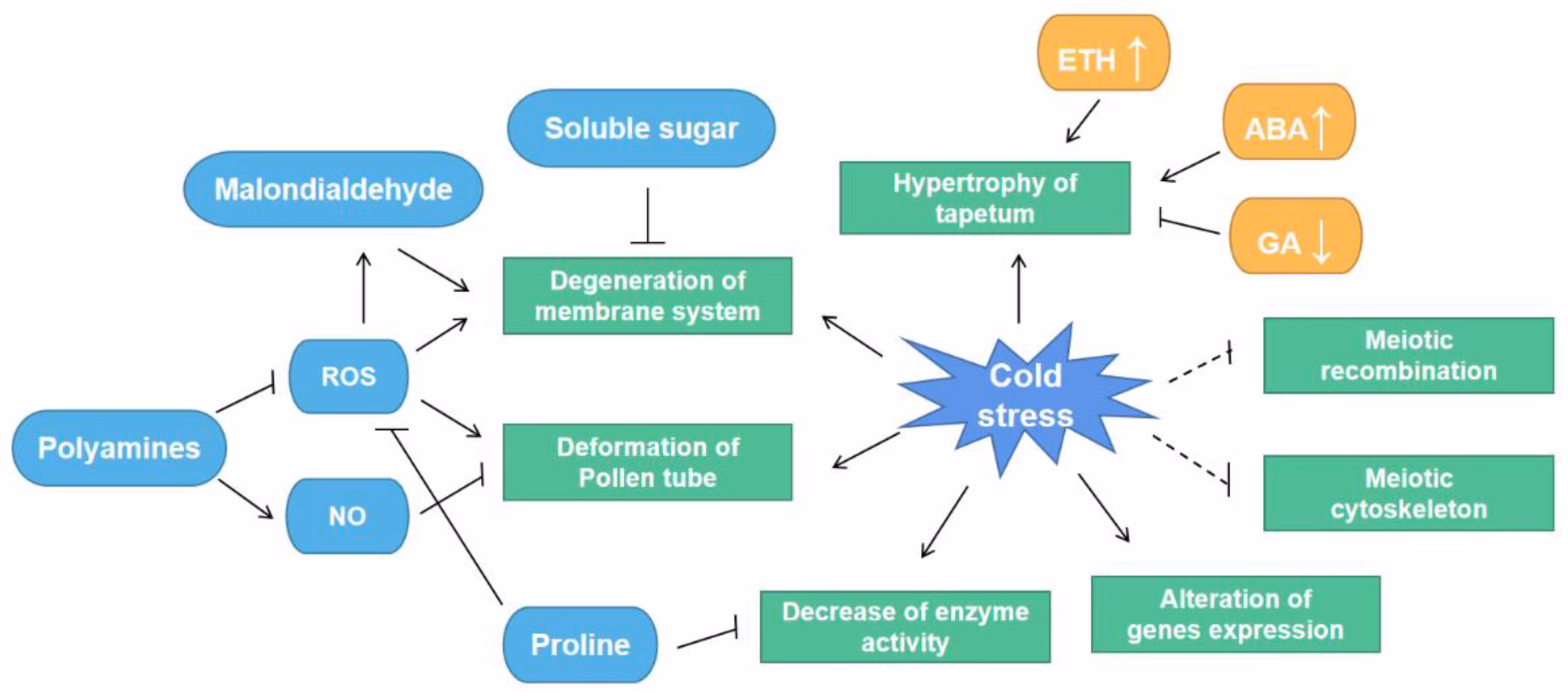 Are cold stress and mild hypothermia serious?