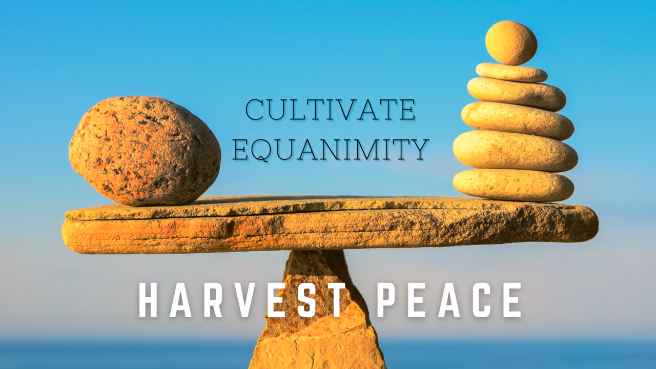 What is even mindedness & equanimity?