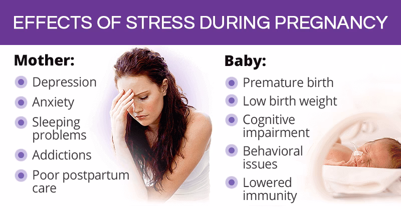 How does prenatal stress affect fetus development?