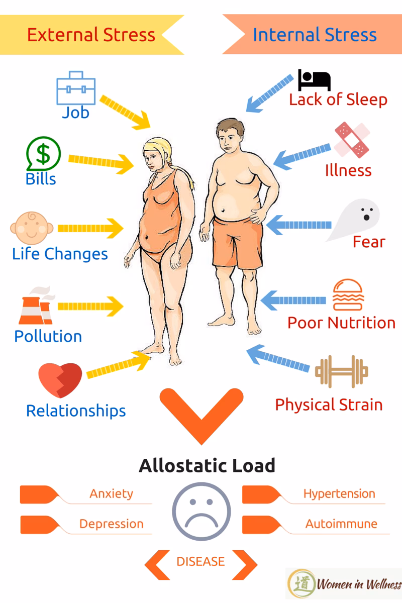 What is the difference between homeostasis and allostasis?