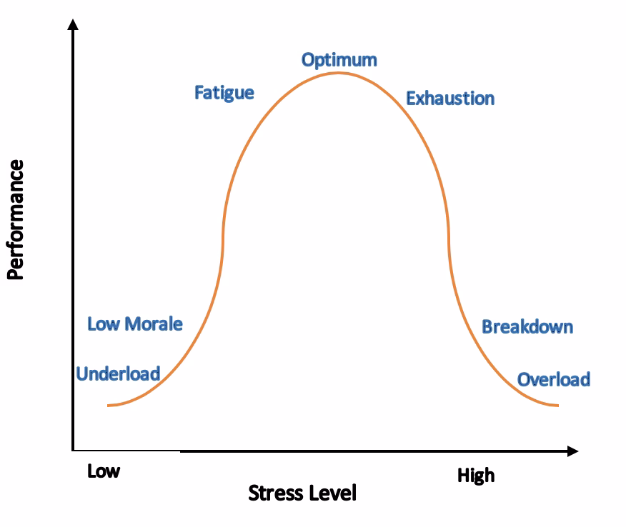 What is the difference between homeostasis and allostasis?