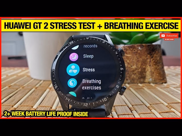 Does the Huawei Watch have a stress test function?