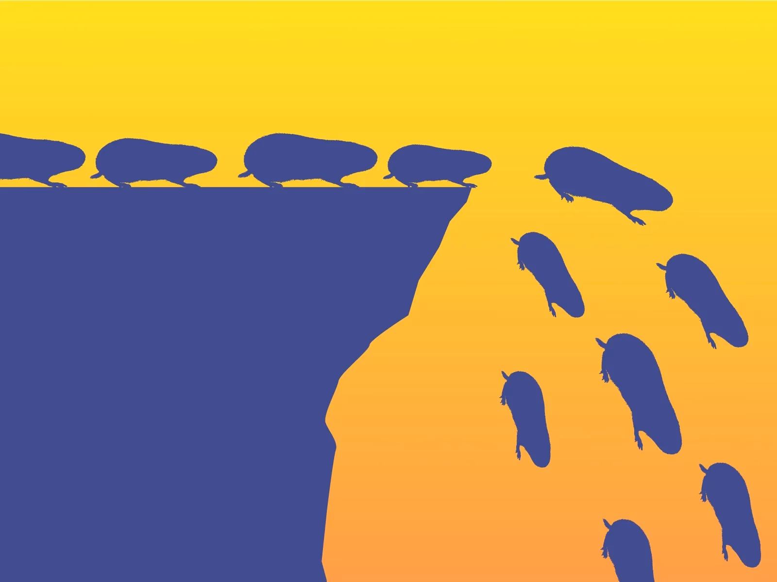 What is a lemming investor?