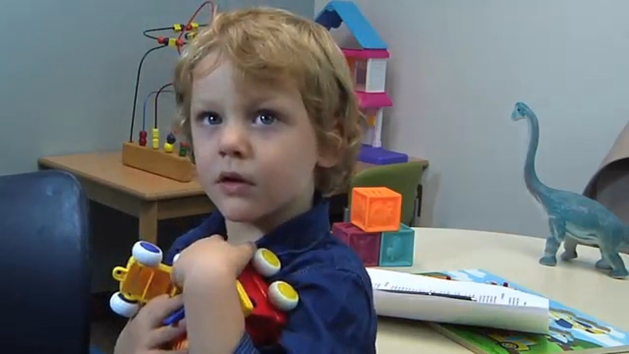 Who can participate in the Lurie Center for autism workshop?