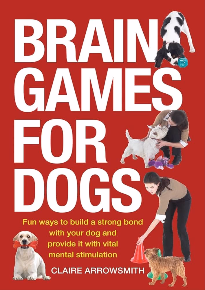 How do I stimulate my dog's brain?