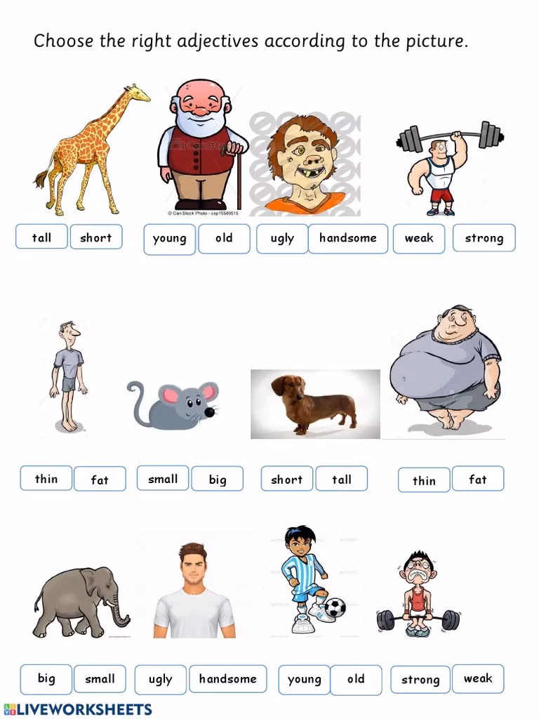What adjectives do adults use?