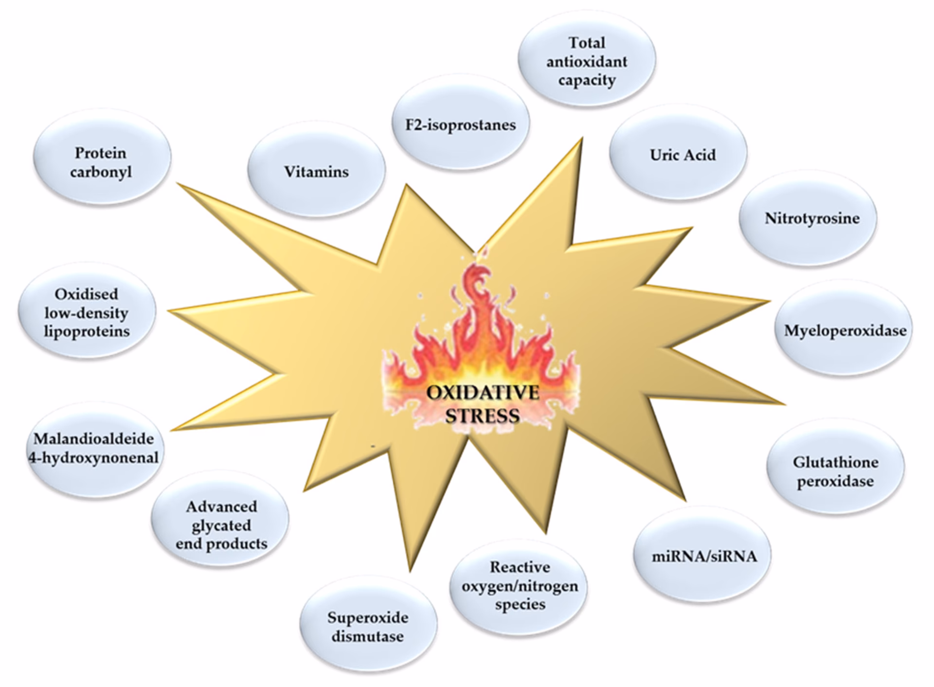 Does oxidative stress cause disease?
