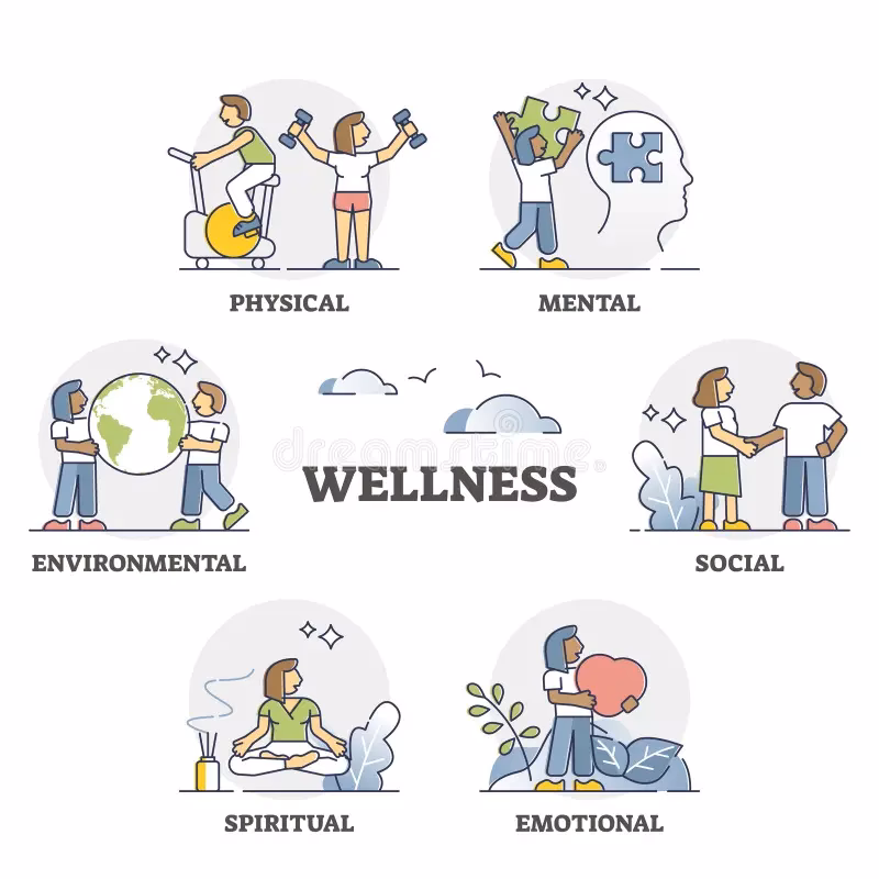 What is physical and mental health?