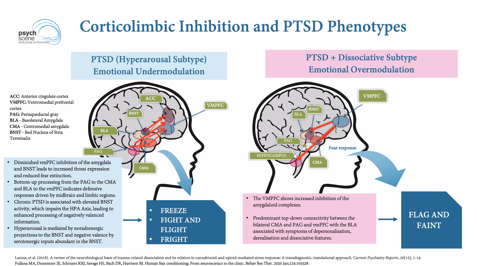 How does information processing affect PTSD?