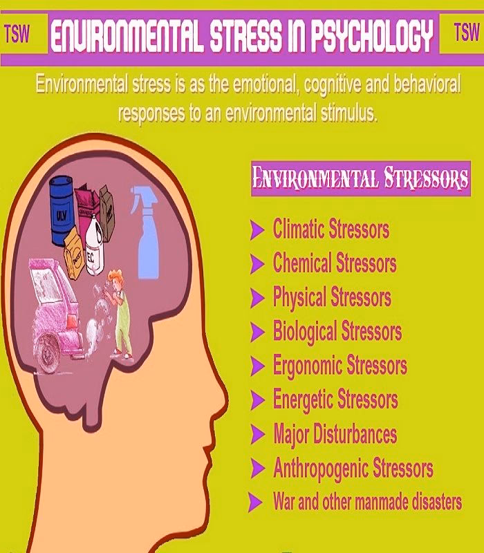 What is environmental stress?