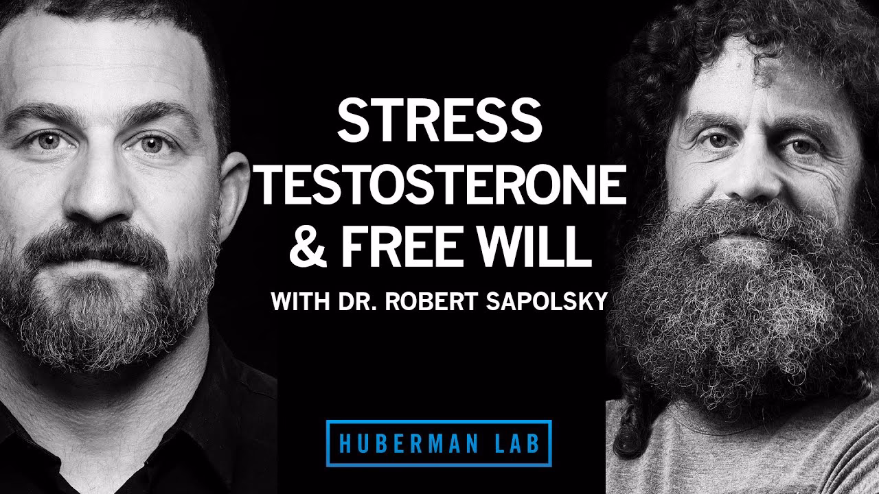 Who directs the Center on Stress and Health?