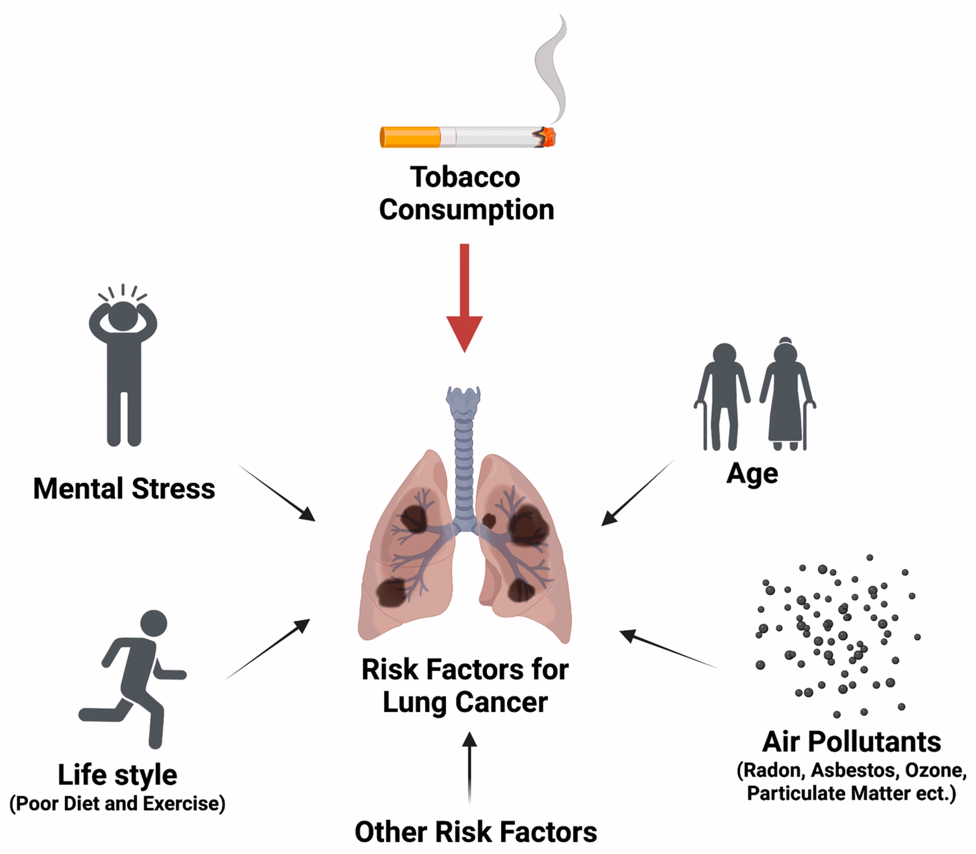 Does chronic stress promote cancer development?