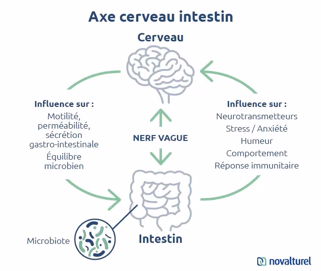 Comment résoudre les problèmes digestifs liés au stress et à l'anxiété ?
