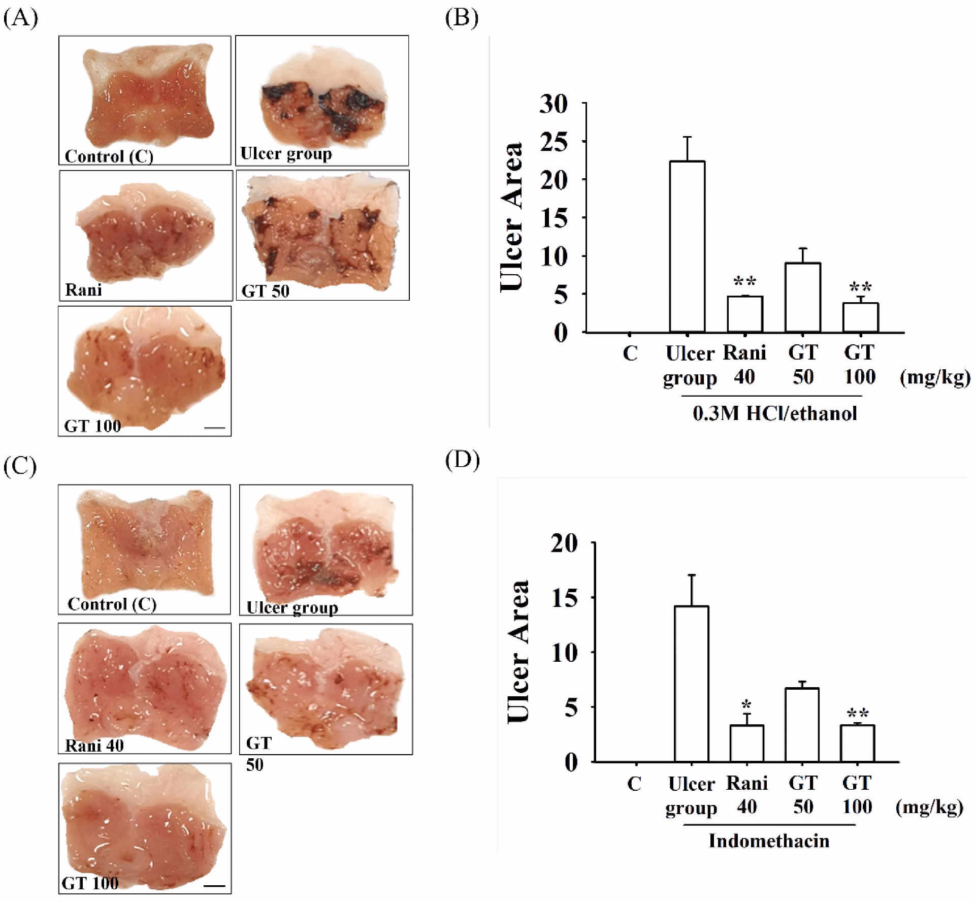 Can acetic acid induce gastric ulcers?