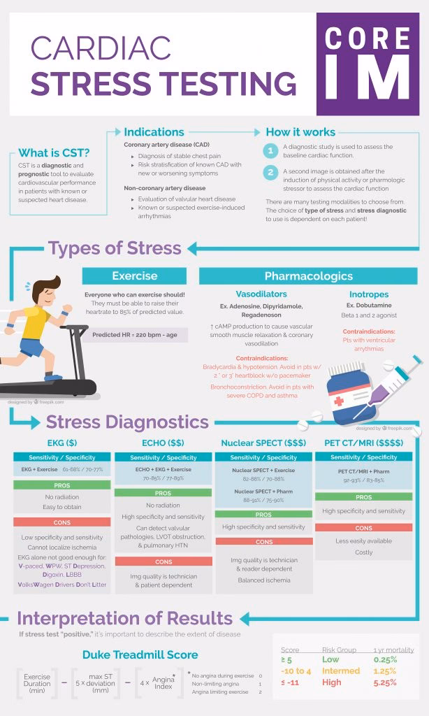 What are internal stress testing guidelines?