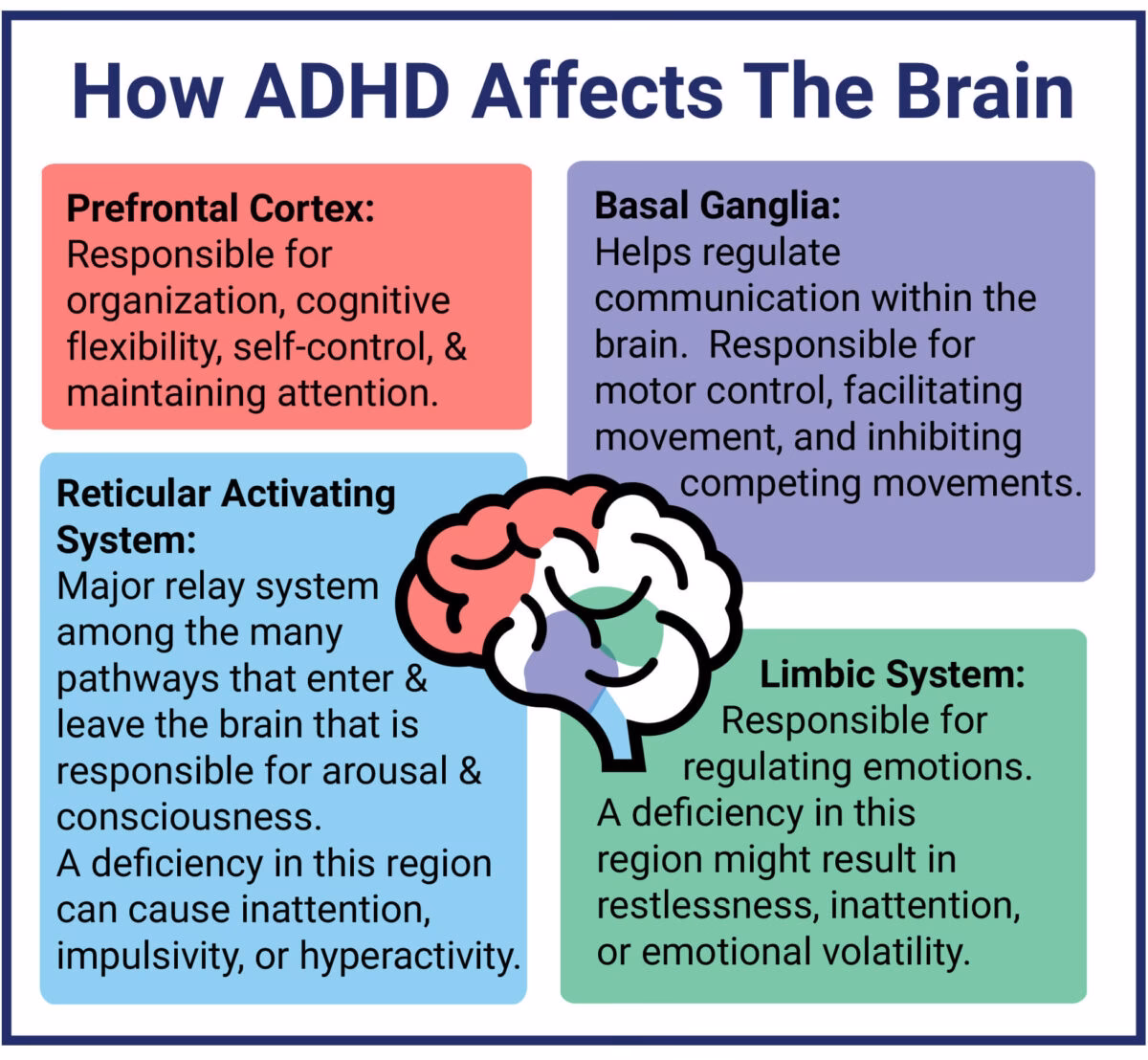 What does ADHD stand for?