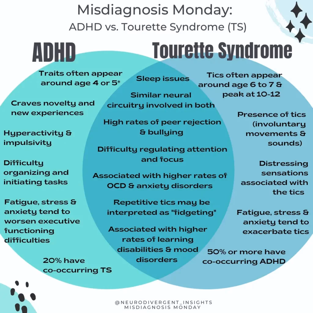 What challenges do people with Tourette Syndrome face?